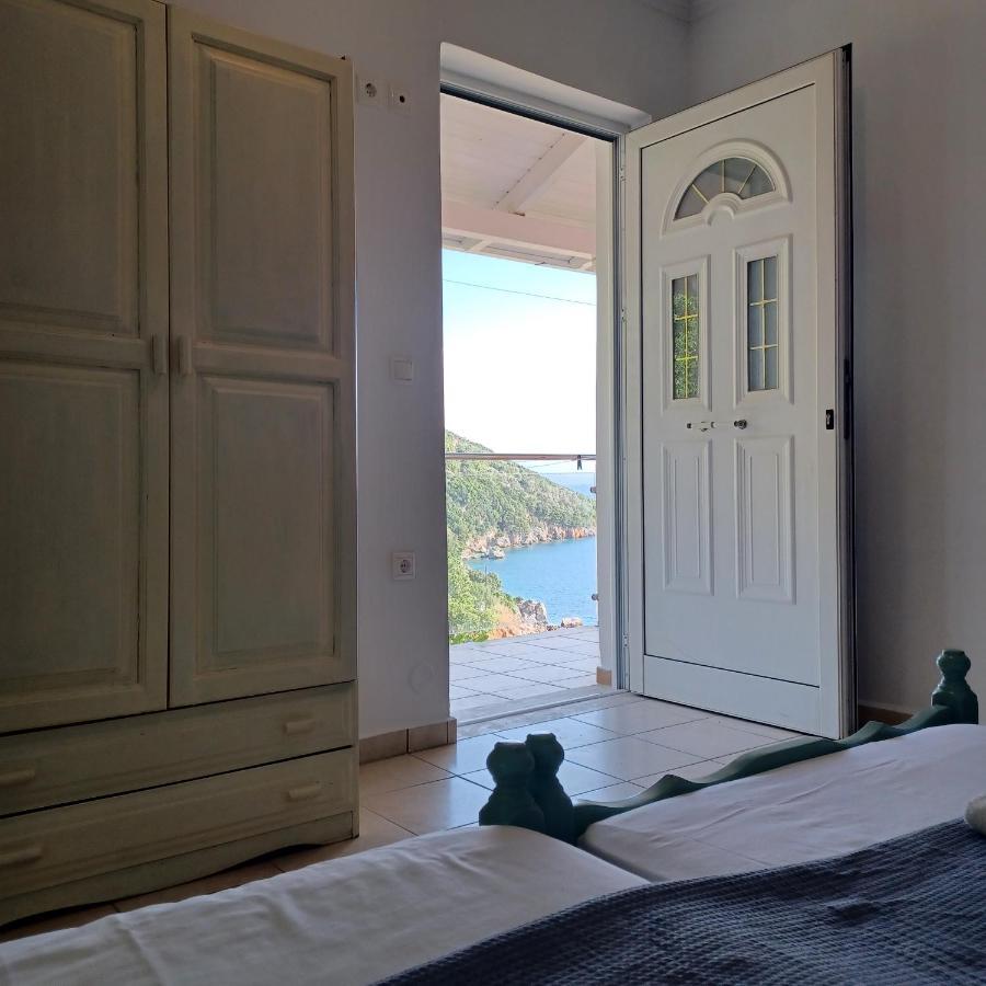 Apartment Penthouse Vasiliki (Lefkada)